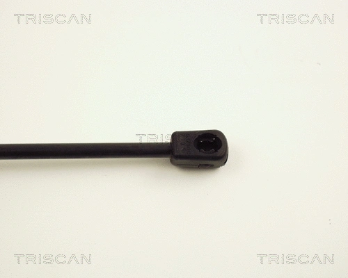 Gas Spring, boot/cargo area