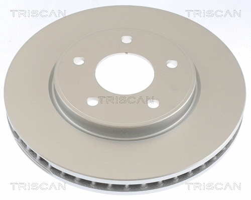 Brake Disc (8120 14195C)
