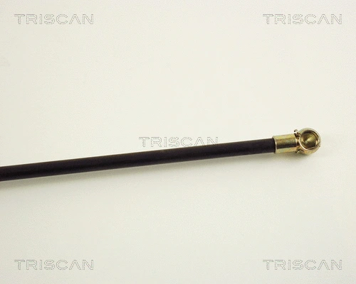 Gas Spring, boot/cargo area