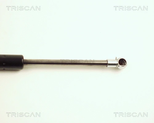 Gas Spring, boot/cargo area