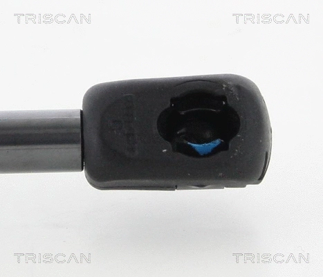 Gas Spring, boot/cargo area