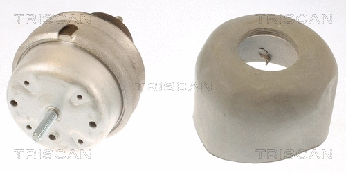 Mounting, engine (8505 29166)