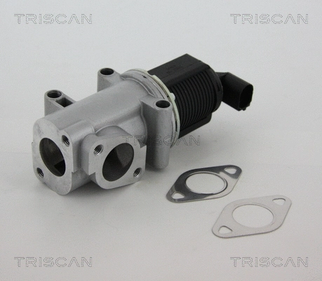 EGR Valve (8813 10015)