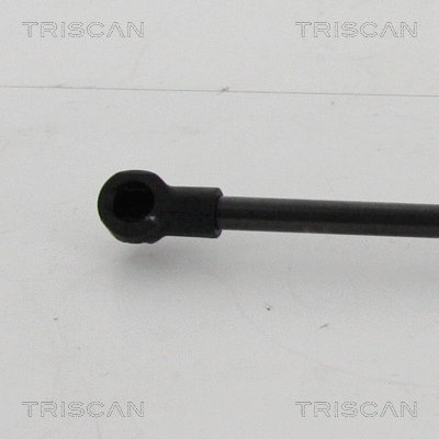 Gas Spring, boot/cargo area