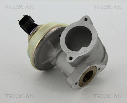 EGR Valve (8813 16102)