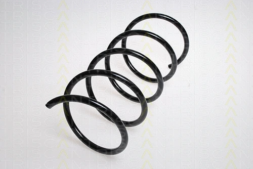 Suspension Spring (8750 23119)