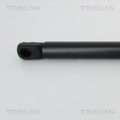 Gas Spring, bonnet