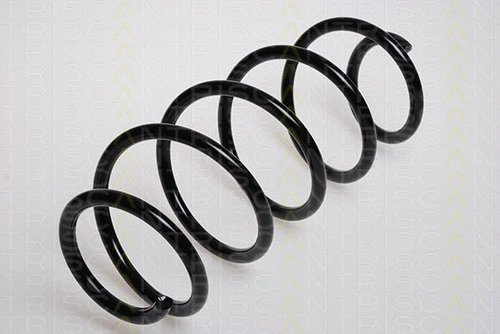 Suspension Spring (8750 16023)