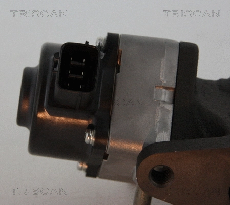 EGR Valve