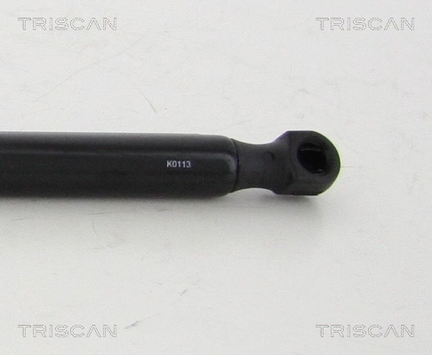 Gas Spring, boot/cargo area