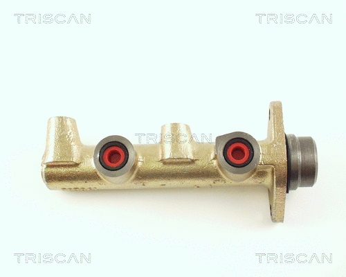 Brake Master Cylinder (8130 16103)