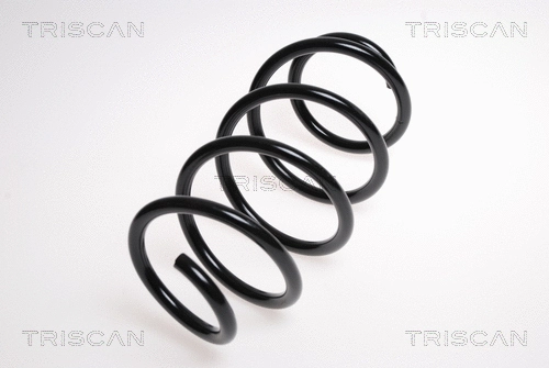 Suspension Spring (8750 29243)