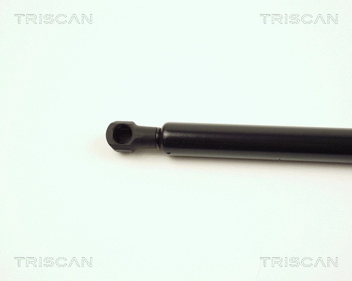 Gas Spring, boot/cargo area