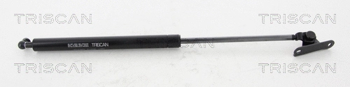 Gas Spring, boot/cargo area (8710 13249)