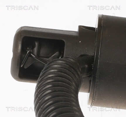 Gas Spring, boot/cargo area