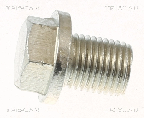 Screw Plug, oil sump