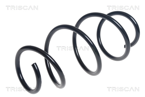 Suspension Spring (8750 25132)