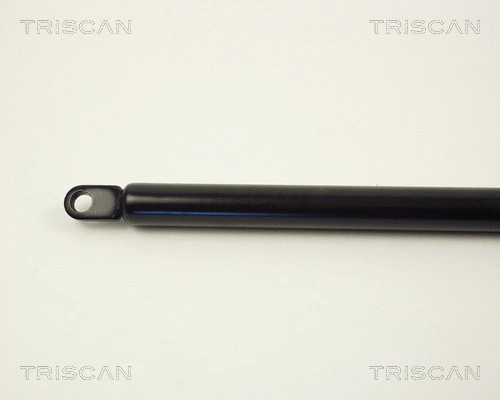 Gas Spring, boot/cargo area