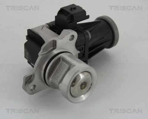 EGR Valve (8813 28005)