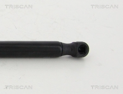 Gas Spring, boot/cargo area