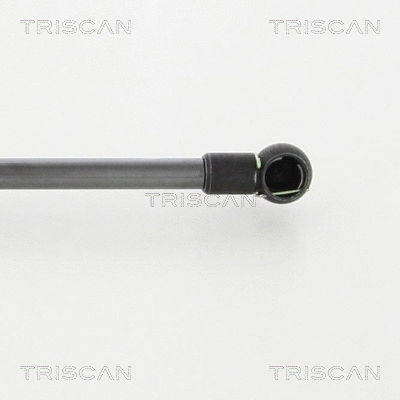 Gas Spring, boot/cargo area