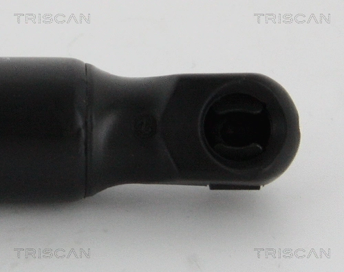 Gas Spring, boot/cargo area