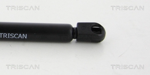 Gas Spring, boot/cargo area