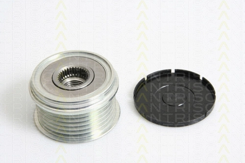 Alternator Freewheel Clutch (8641 204001)