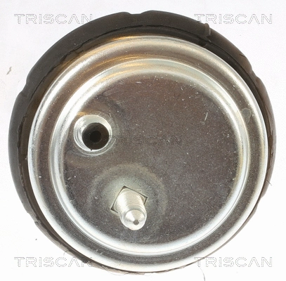 Mounting, engine