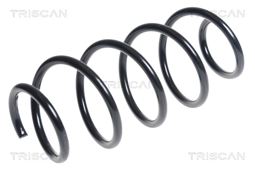 Suspension Spring (8750 29344)