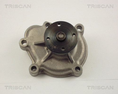 Water Pump, engine cooling (8600 24008)