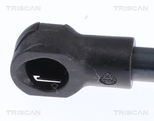 Gas Spring, boot/cargo area