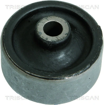 Mounting, control/trailing arm (8500 16809)