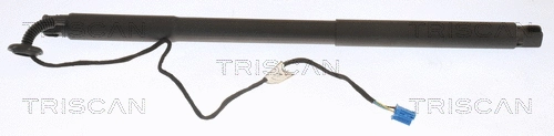 Gas Spring, boot/cargo area (8710 23310)
