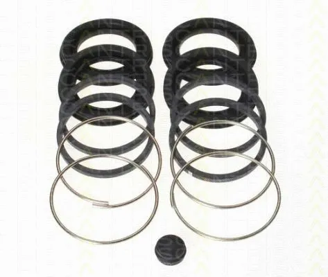 Repair Kit, brake caliper (8170 204313)