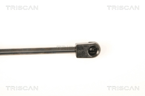 Gas Spring, boot/cargo area