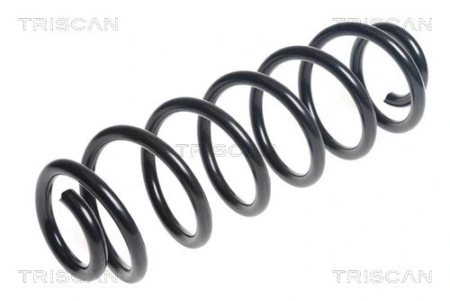 Suspension Spring (8750 29423)