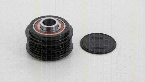 Alternator Freewheel Clutch (8641 434007)