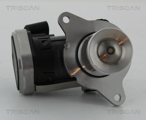 EGR Valve (8813 23006)