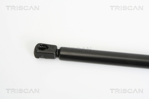 Gas Spring, boot/cargo area