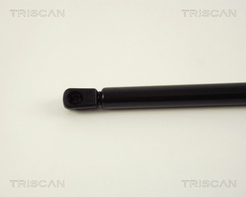 Gas Spring, boot/cargo area