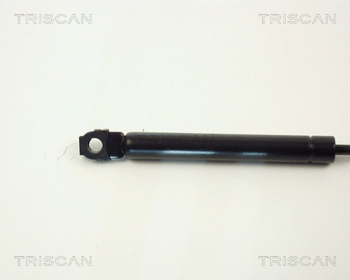 Gas Spring, bonnet