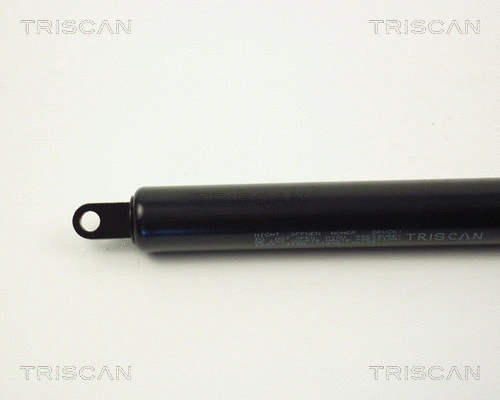 Gas Spring, boot/cargo area
