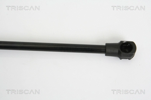 Gas Spring, boot/cargo area