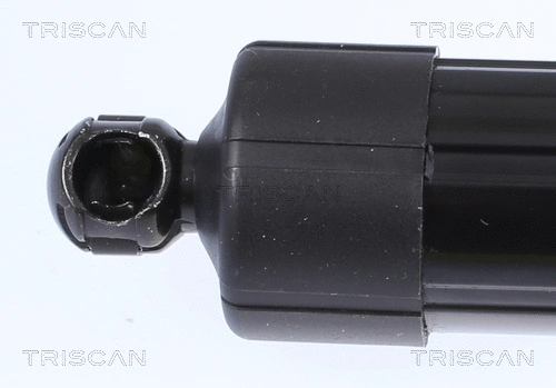 Gas Spring, boot/cargo area