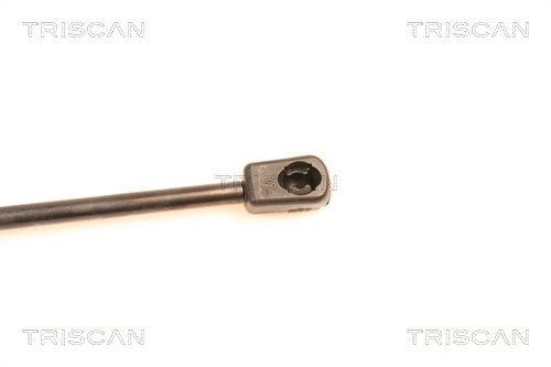 Gas Spring, boot/cargo area