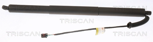 Gas Spring, boot/cargo area (8710 29305)