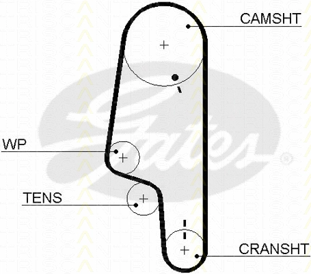Timing Belt