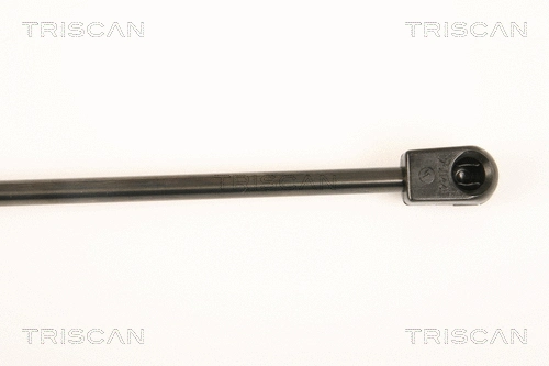Gas Spring, boot/cargo area
