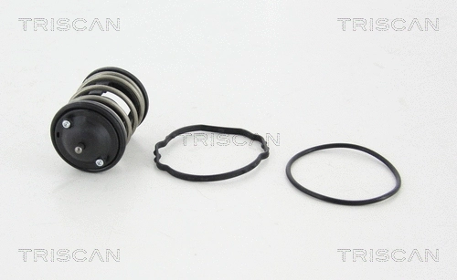 Thermostat, coolant (8620 43287)